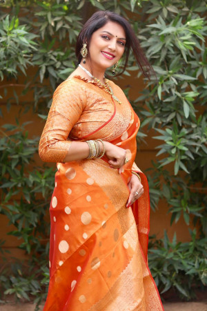 Orange color organza silk saree with golden zari weaving work