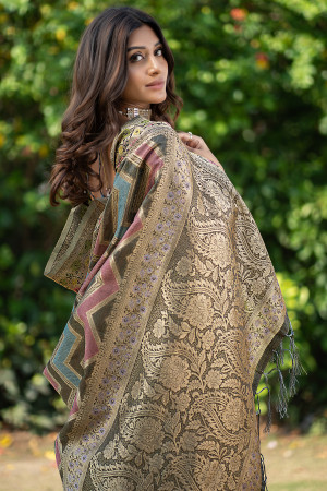 Multi color organza silk saree with zari weaving work