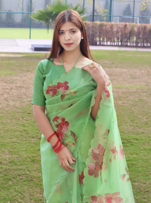 Parrot green color organza silk saree with printed work
