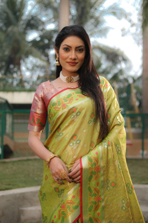 Mahendi green color soft organza silk saree with patola woven design