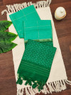 Sea green color raw silk saree with temple weaving border