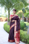 Coffee color tussar silk saree with patola weaving design
