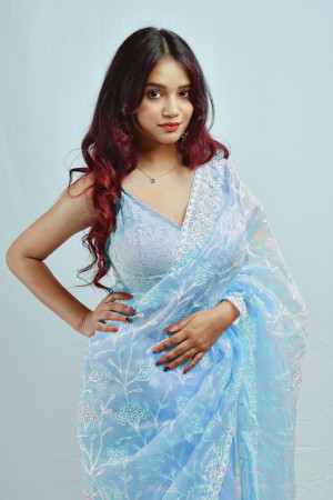 Sky blue color soft organza silk saree with embroidery work
