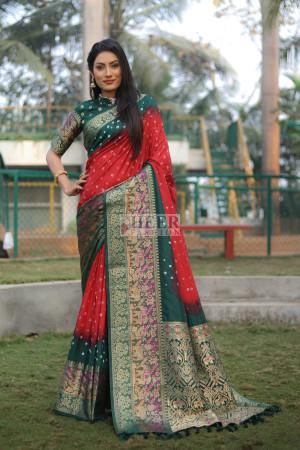 Multi color bandhej silk saree with zari weaving work