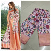 Multi color soft banarasi silk saree with jacquard pallu