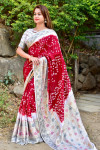 Multi color hand bandhej bandhani saree with zari weaving work