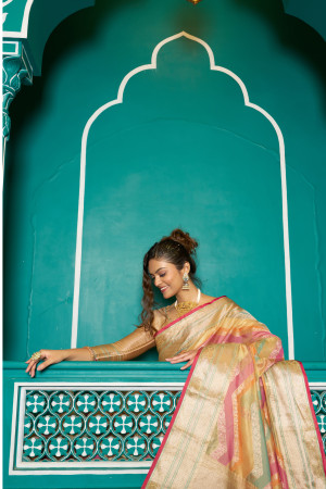 Multi color soft organza silk saree with zari weaving work