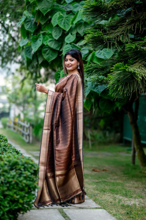 Brown color soft banarasi raw silk saree with zari lining weaving work