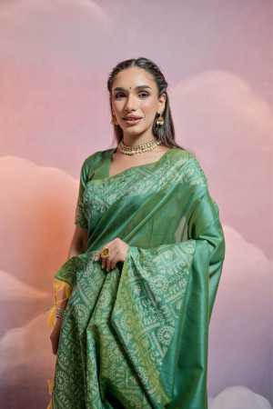 Light green color handloom raw silk saree with contrast weaving work