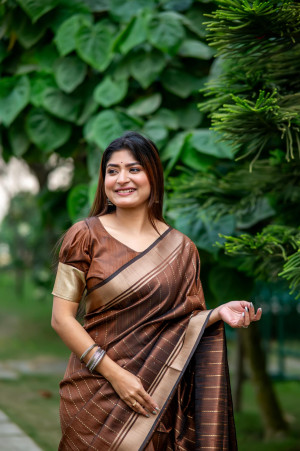 Brown color soft banarasi raw silk saree with zari lining weaving work