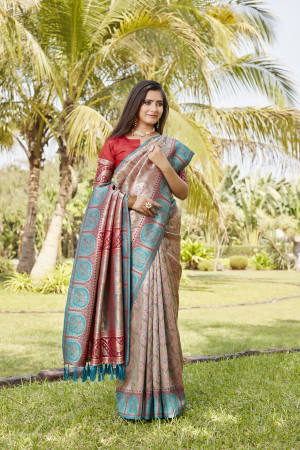 Multi color kanjivaram silk saree with zari weaving work