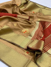 Beige color Soft Raw silk embroidered work saree