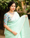 Sea green color dola silk saree with mirror work & aari brorder