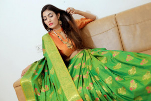 soft banarasi silk patola saree with rich pallu