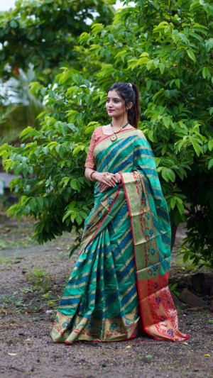 Soft silk saree with woven work