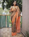 Multi color linen cotton saree with ikkat printed work