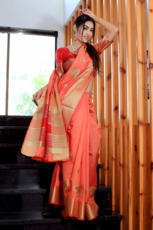 Soft raw silk saree with embroidered work