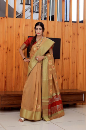 Soft raw silk saree with embroidered work