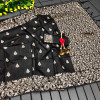 Black color soft handloom raw silk saree with woven design