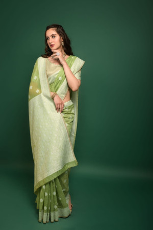 Pista green color lucknowi chikankari saree with zari weaving work