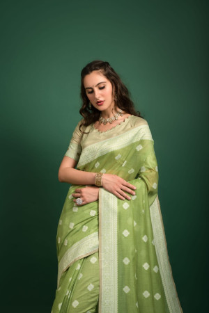 Pista green color lucknowi chikankari saree with zari weaving work