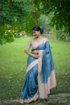 Firoji tussar silk saree with checks weaving work
