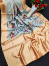 Gray color banarasi silk saree with digital printed rich pallu