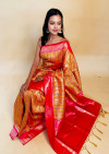 Orange color banarasi silk saree with patola weaving work